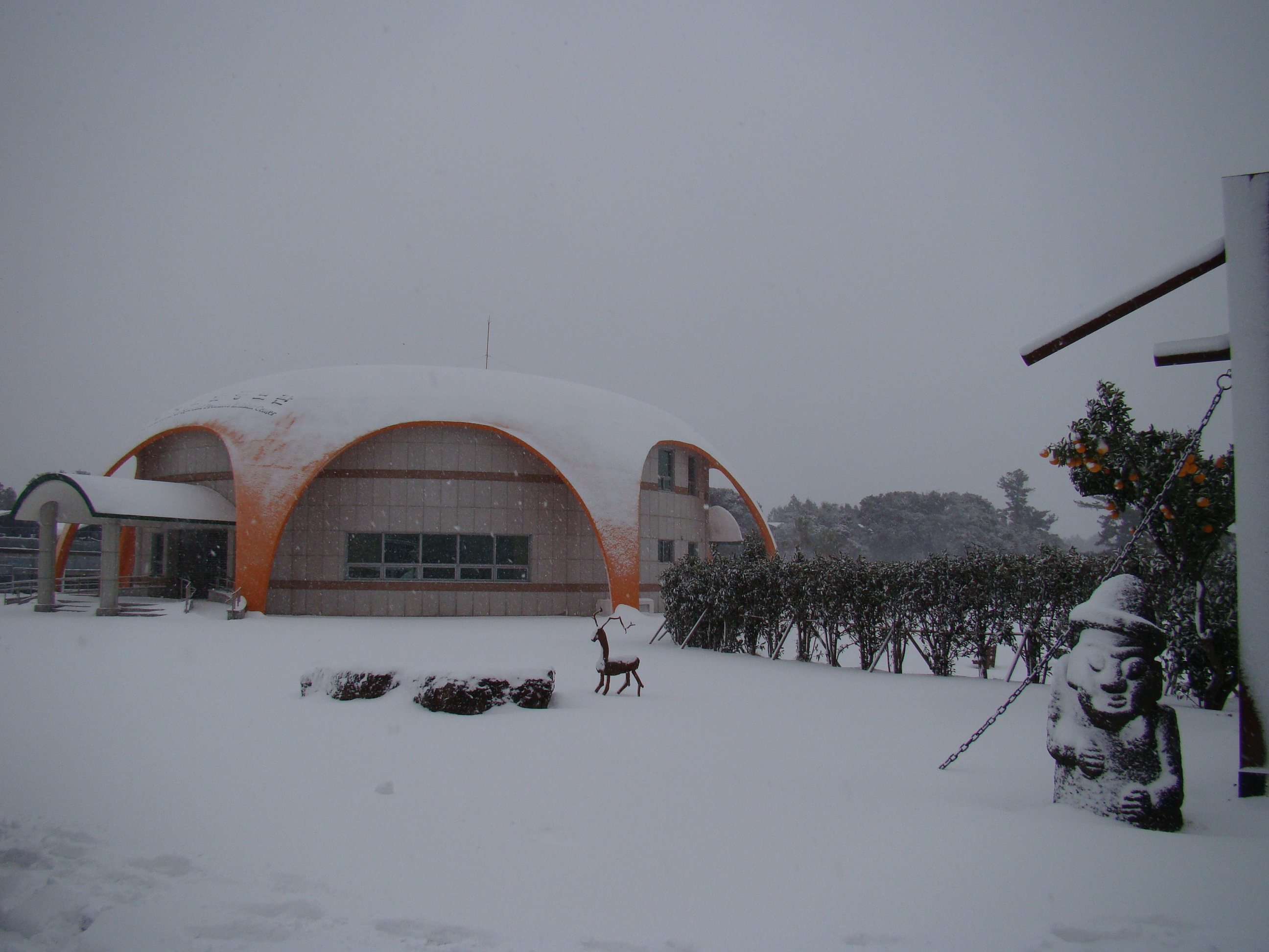 서귀포농업기술센터 겨울사진입니다. 서귀포에도 이렇게 눈이 내리네요!!!